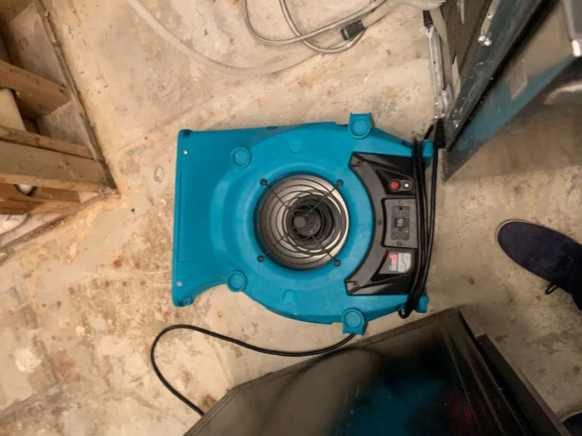 Air mover drying equipment for Mold Remediation & Removal in Worthington